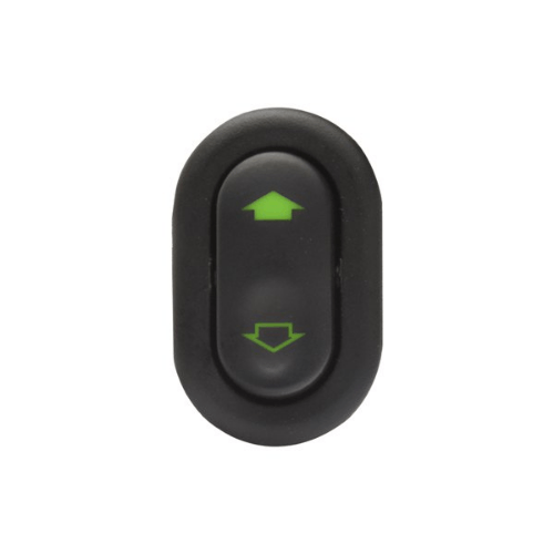 Interruptor Vidro Elétrico Simples Fiesta Ecosport