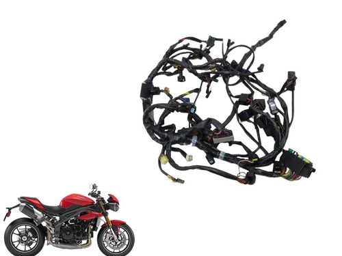 Chicote Principal Triumph Speed Triple 1050 06-10