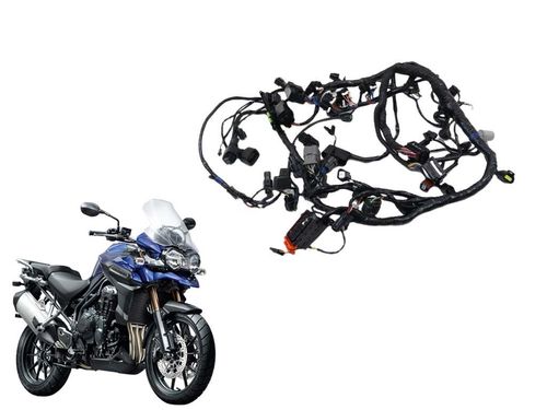 Chicote Principal Triumph Tiger 1200 Explorer 12-15