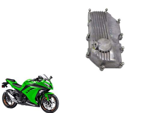 Carter Ninja 300 Ninja300 2013 2018 C/detalhe