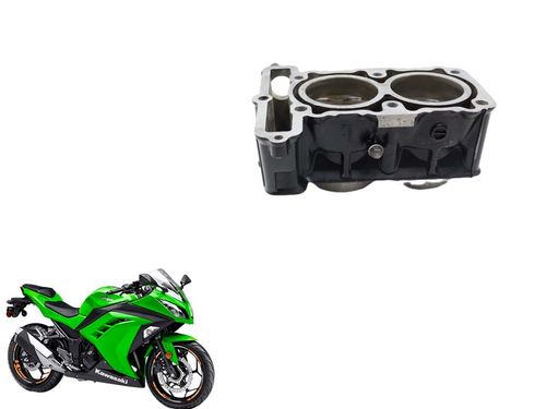 Cilindro Com Pistão e Anéis Ninja 300 2013 2018