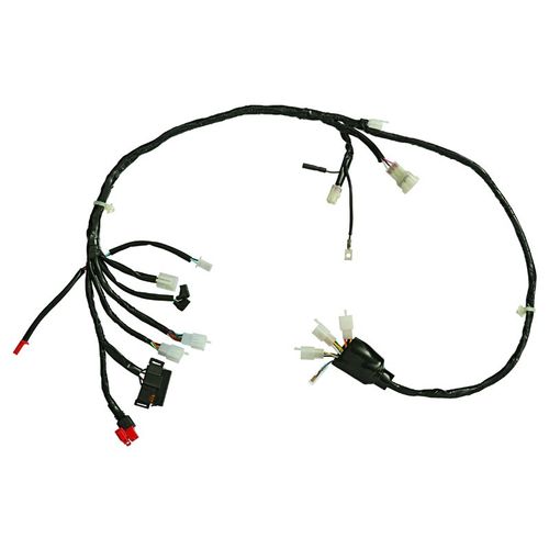 Fiação Principal Biz 125 + 2006 a 2008 Magnetron